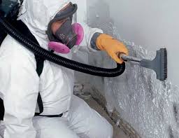 Best Airborne Mold Testing  in Hopelawn, NJ